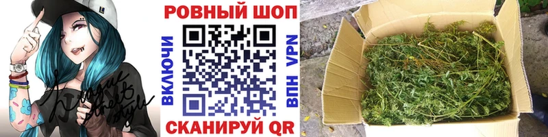 Купить закладку ГАШИШ  Cocaine  МЕФ  A PVP  Канабис  Сясьстрой