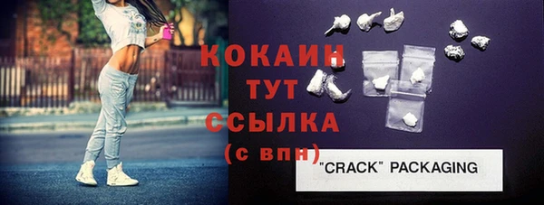 стафф Инта