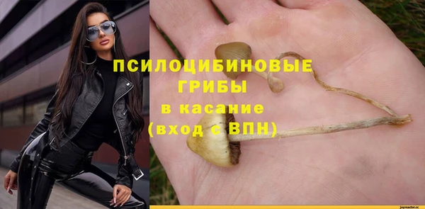 бошки Инсар