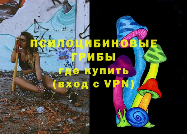 стафф Инта