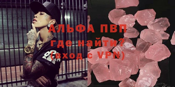 стафф Инта