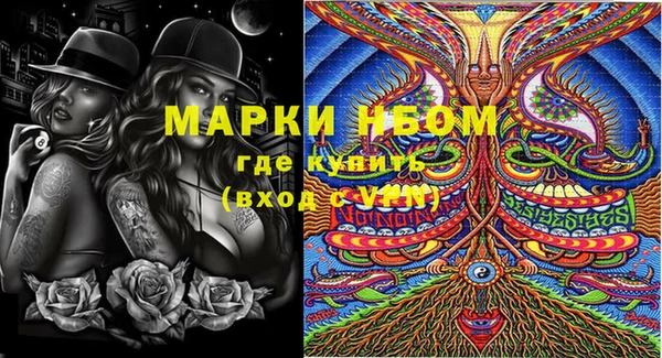 стафф Инта