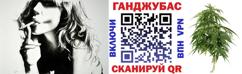 Купить  Сясьстрой  Каннабис план 